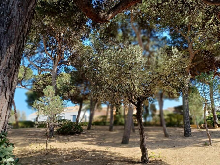 Apartamento Roc Mar Llafranc Exterior photo