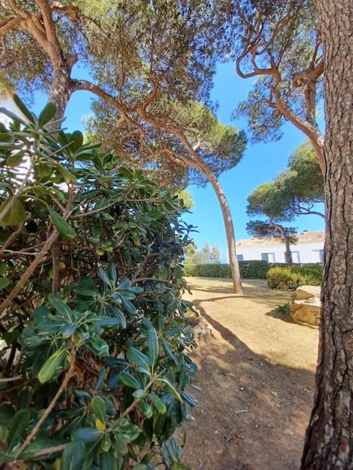 Apartamento Roc Mar Llafranc Exterior photo